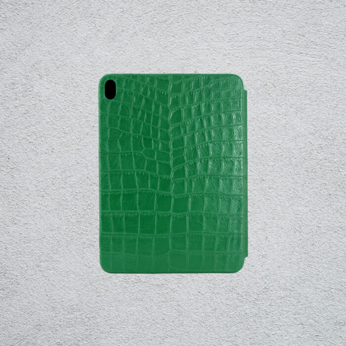Кожаный чехол для iPad зеленый