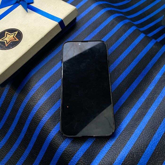 Чехол для iPhone из кожи игуаны с гербом России и инициалами